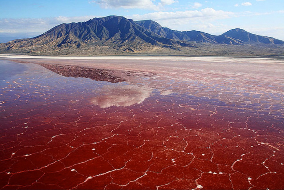 LAKE NATRON
