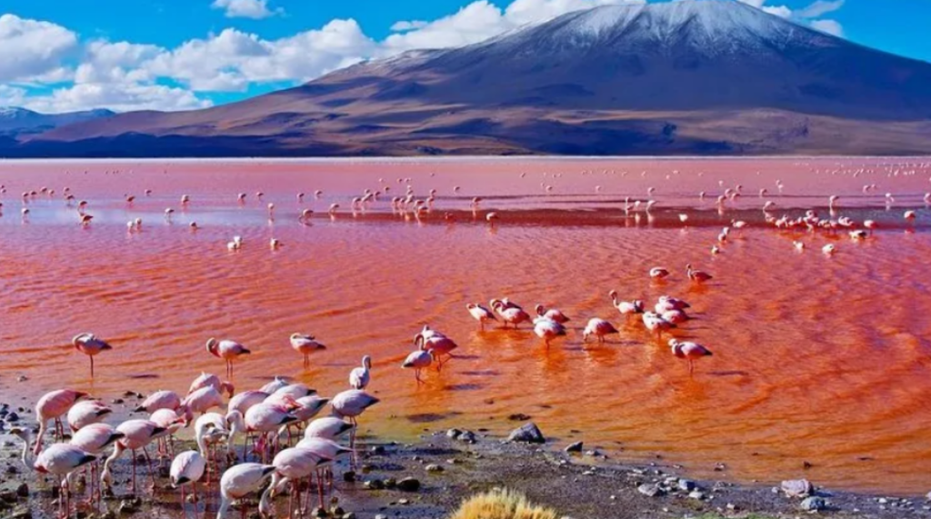 LAKE NATRON