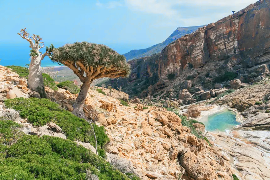 Socotra Island