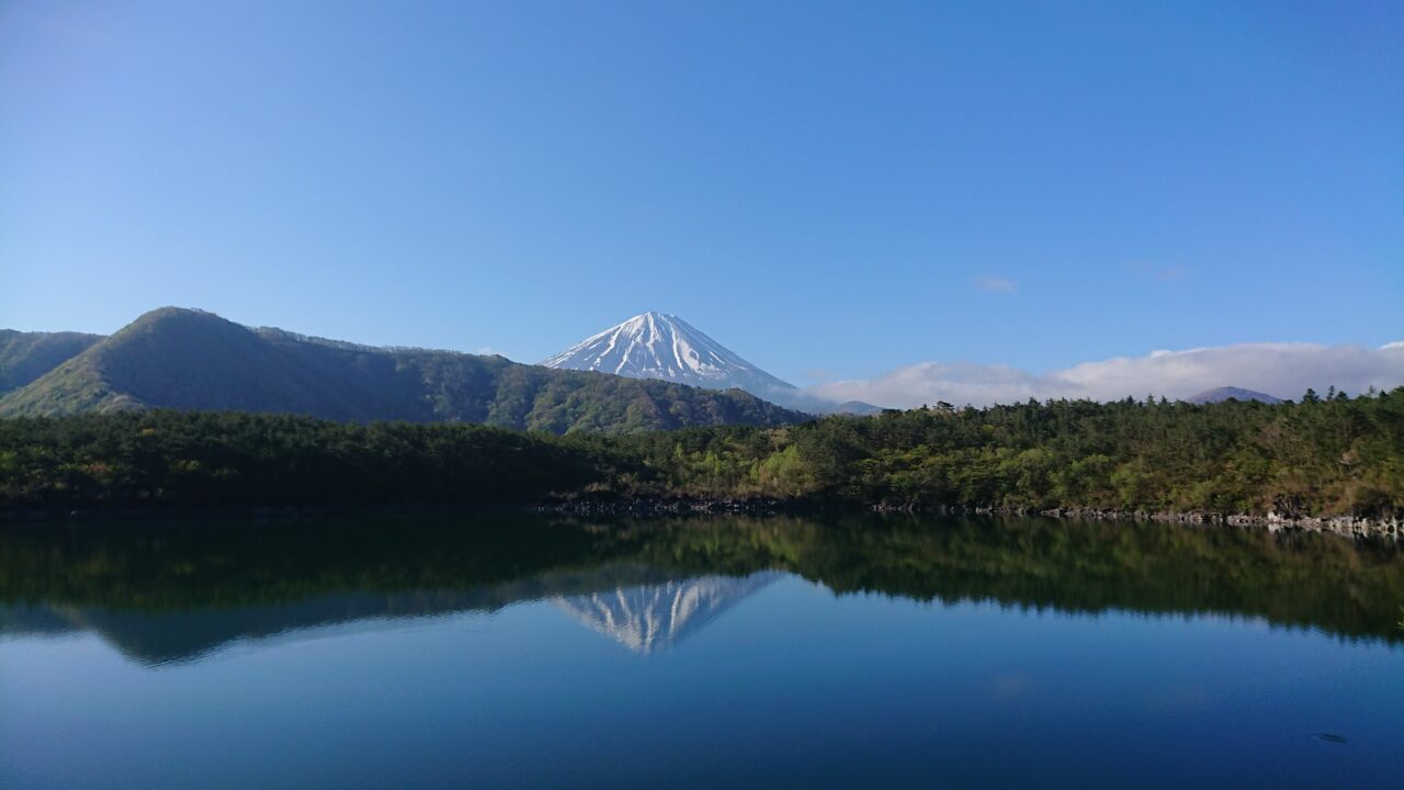 Aokigahara: Sea of Trees at Mount Fuji, Japan