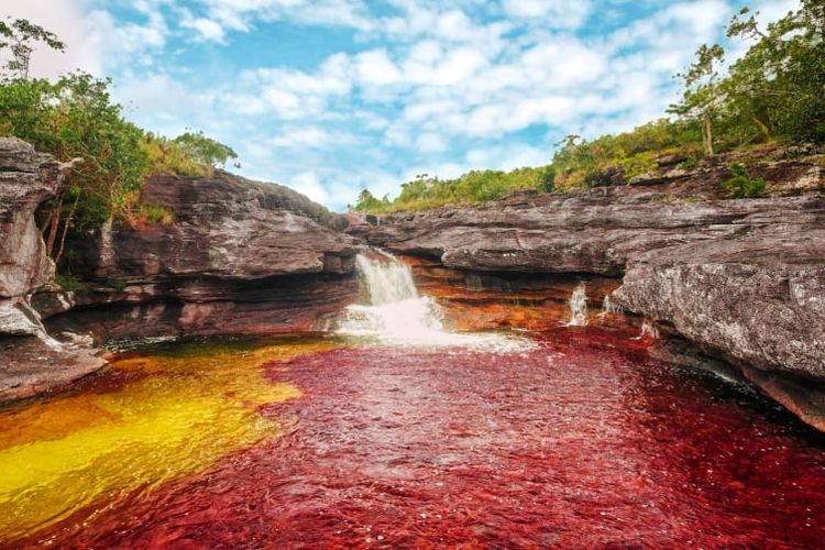The Five Colored River