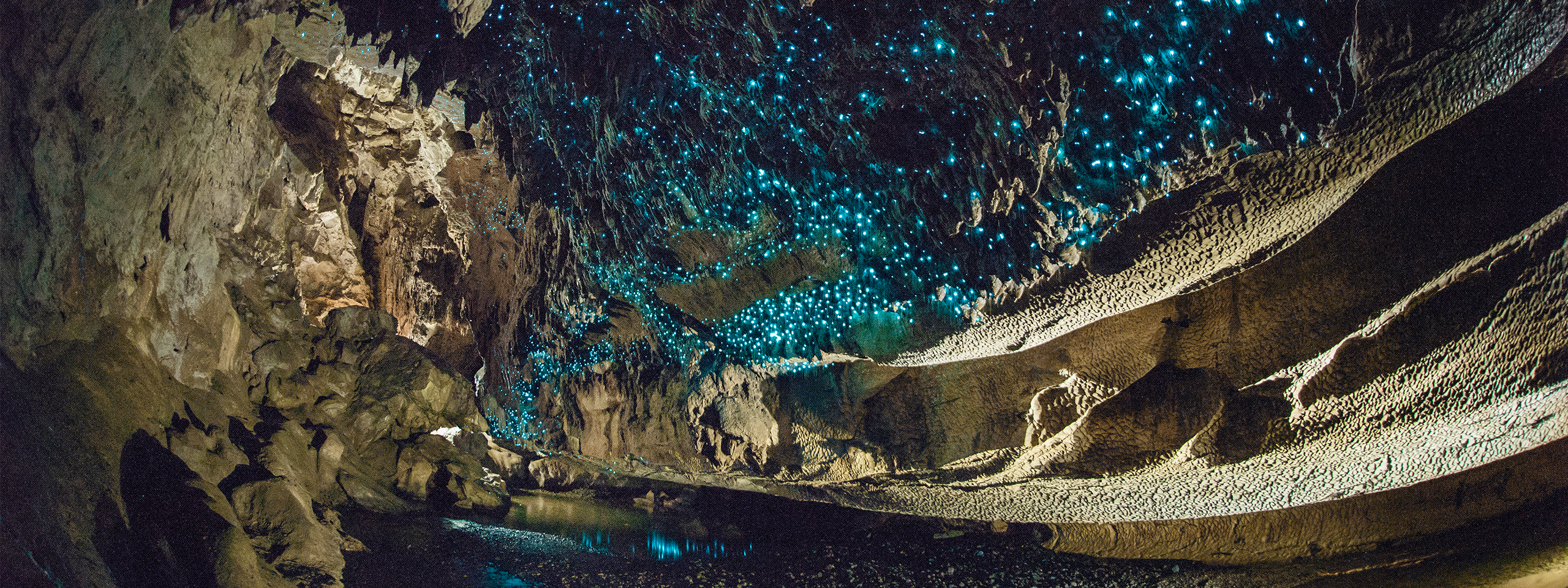 Glowworm Caves