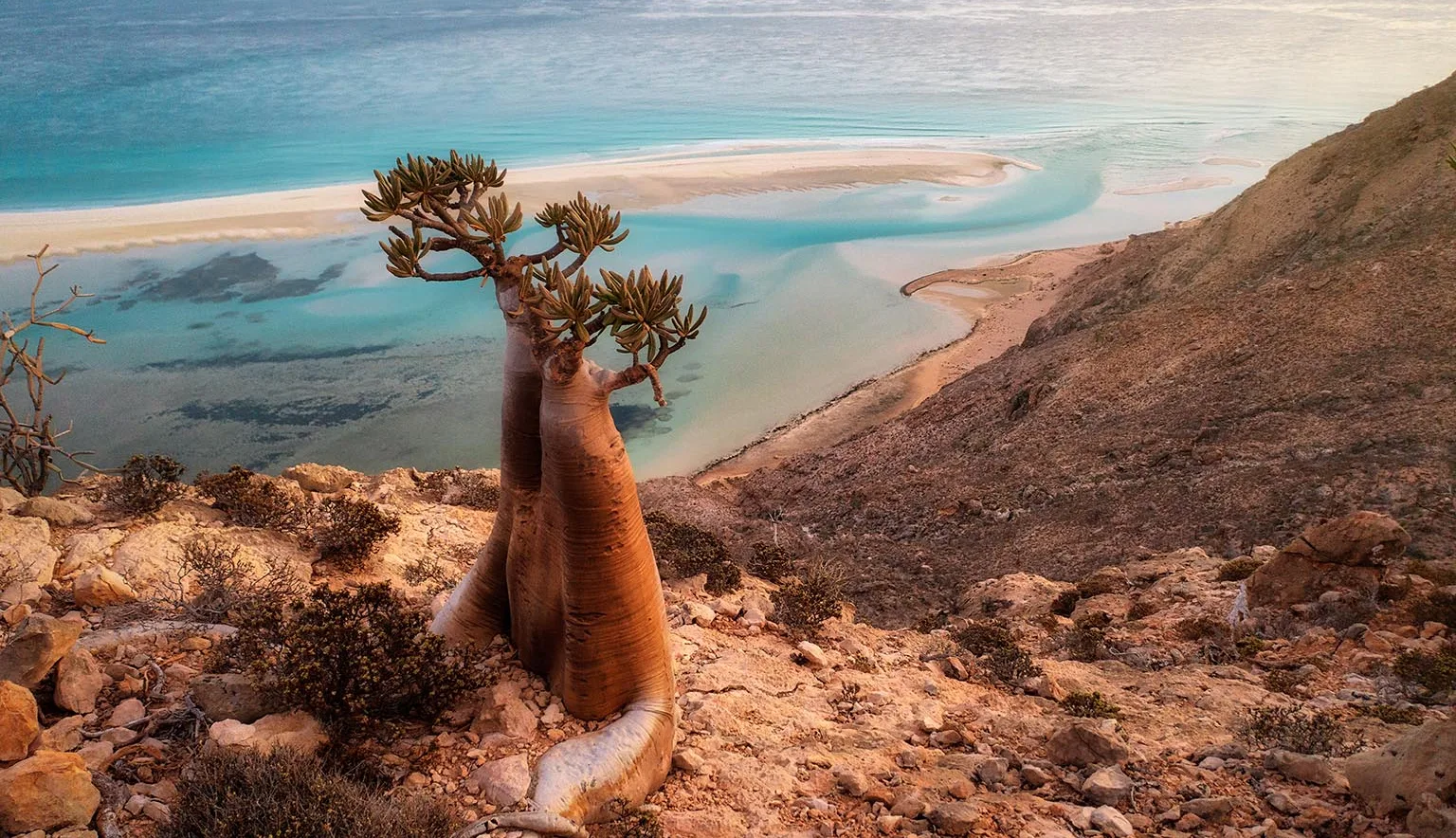 Socotra