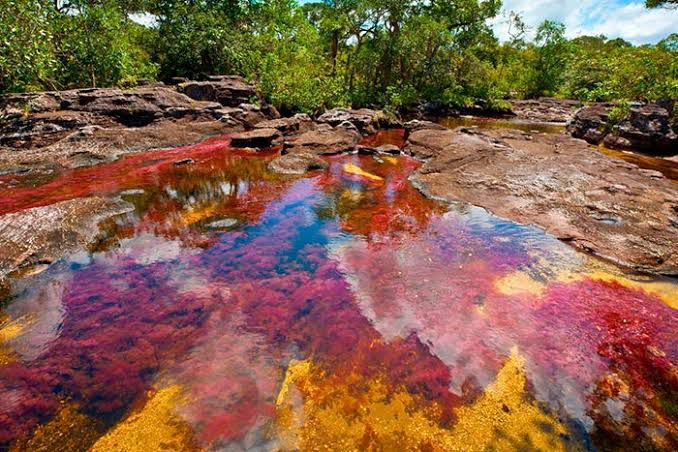 The Five Colored River