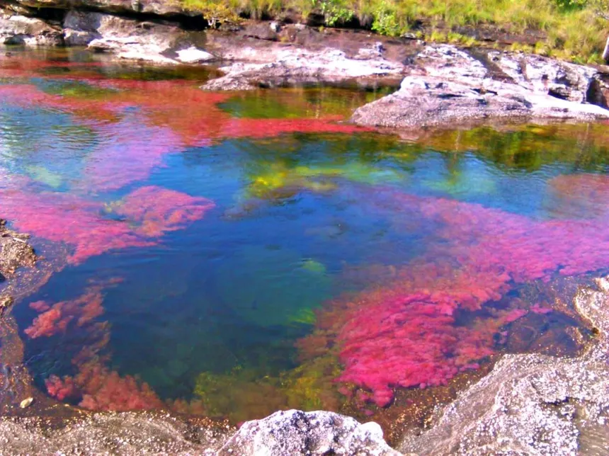 The Five Colored River