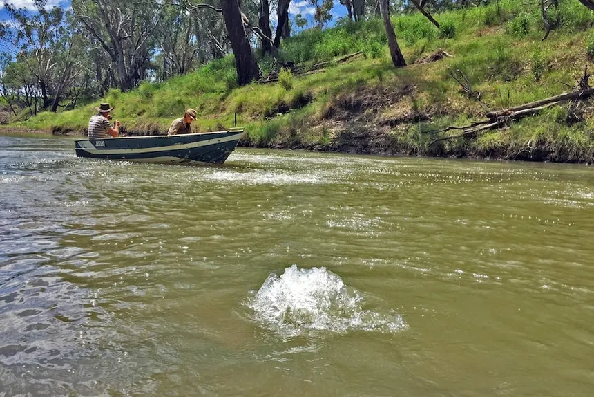 Condamine RIVER