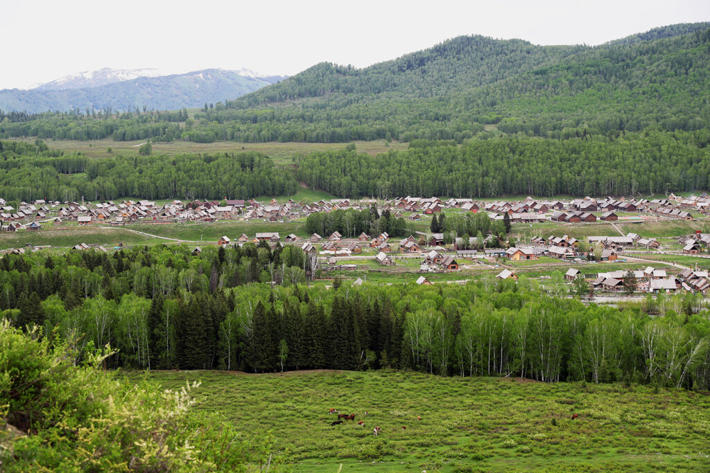 VILLAGE WRAPPED IN FOG