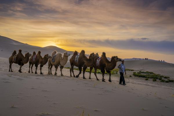 Singing Sands of the Gobi Desert