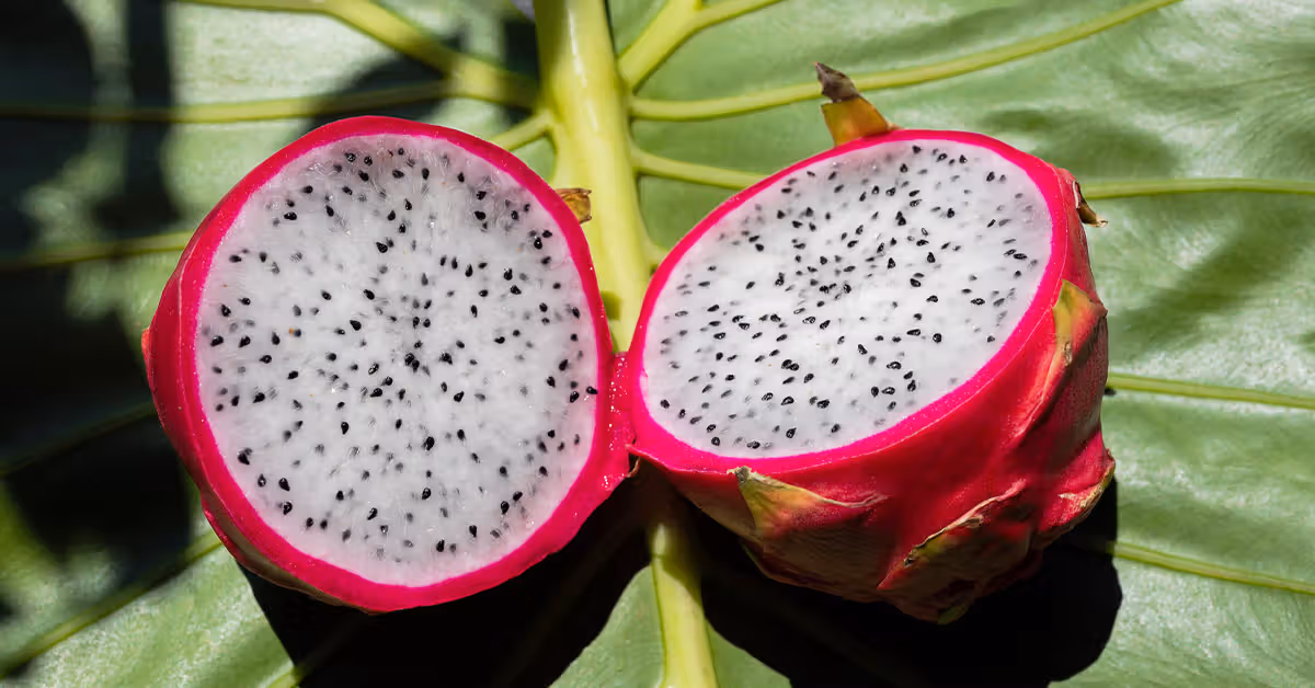 Dragon Fruit