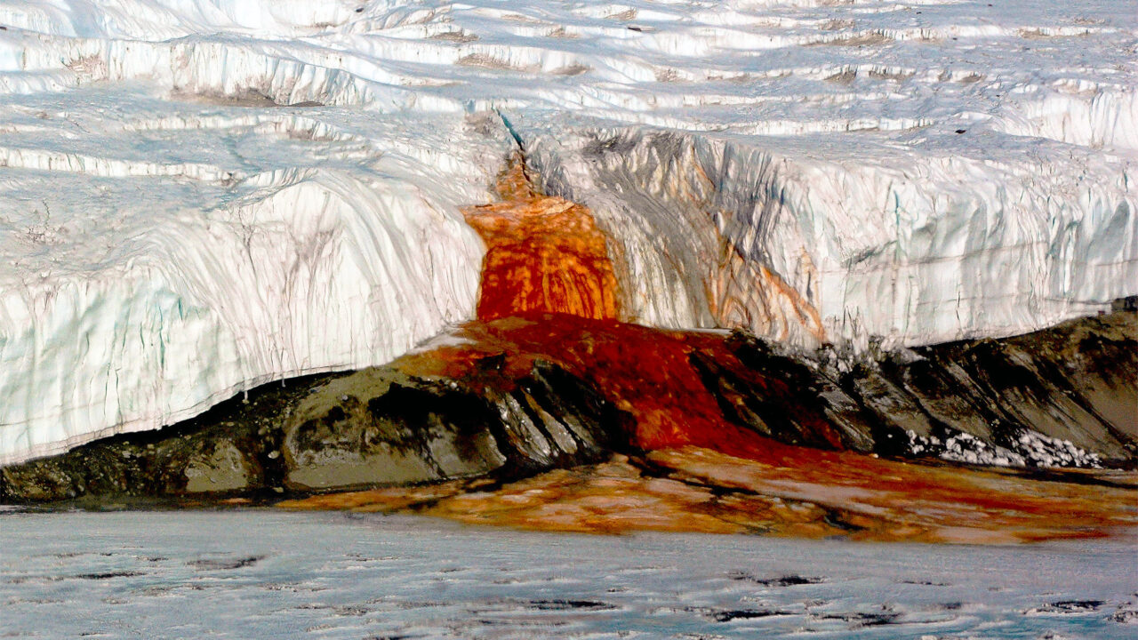 Antarctica’s Crimson Mystery, The Science Behind the Red Blood Falls