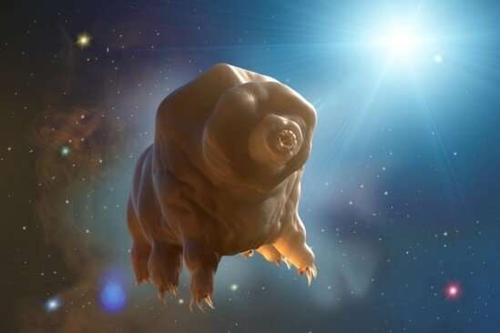 ardigrades The Indestructible Water Bears That Conquer Space