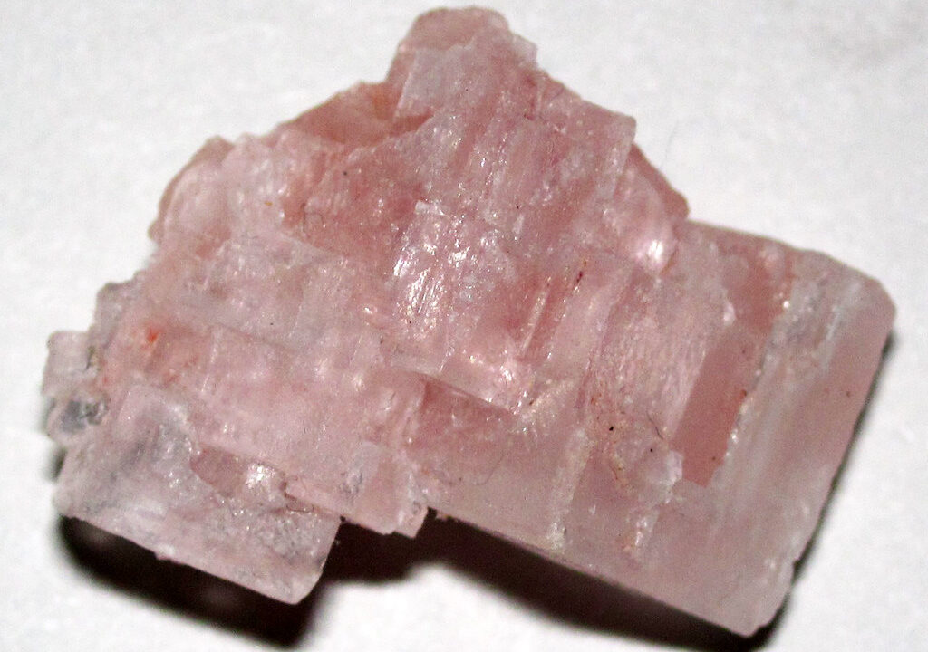 Unearthing the Secrets Ancient Halophilic Microbes Trapped in Salt Crystals for Millennia