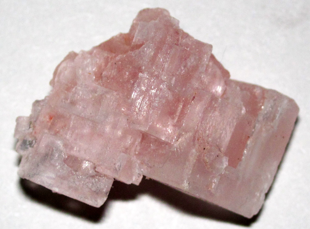 Ancient Halophilic Microbes Trapped in Salt Crystals for Millennia