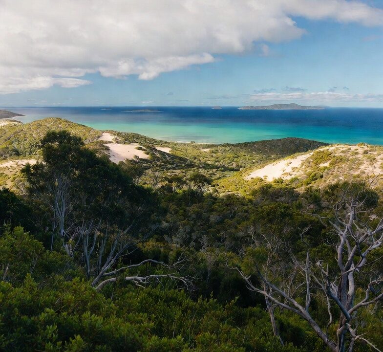 Fraser Island (K’gari) – The World’s Largest Sand Island