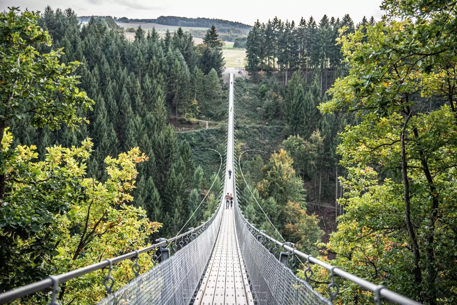 Geierlay Suspension Bridge – Germany's Longest Pedestrian Rope Bridge