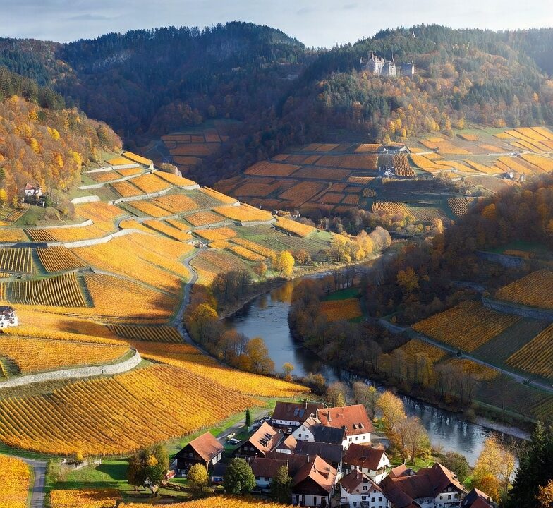 The Ahr Valley Red Wine Trail – Germany’s Northernmost Red Wine Region