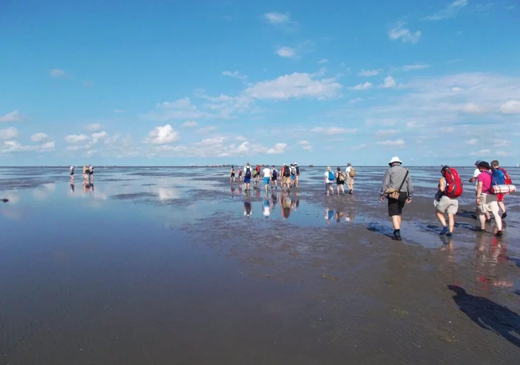 The Cuxhaven Wadden Sea Mudflats – Germany’s Tidal Treasure Trove
