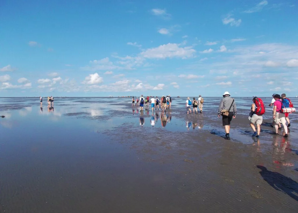 The Cuxhaven Wadden Sea Mudflats – Germany's Tidal Treasure Trove