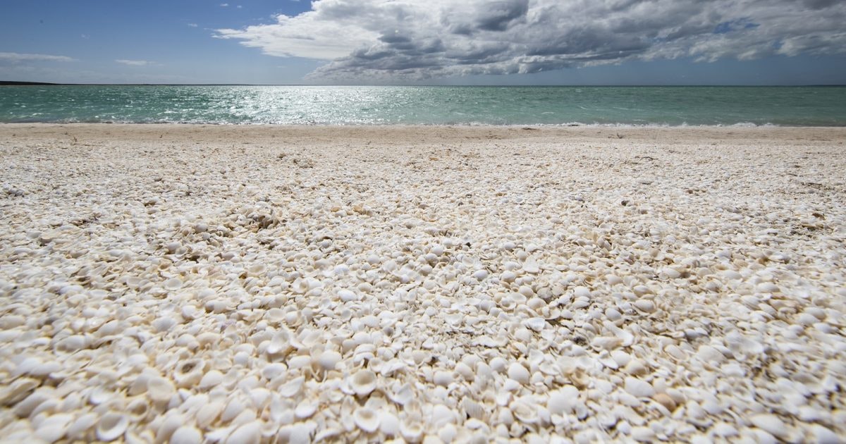 The Island Built from Seashells in Australia, How Shell Grit Shapes Buildings and Roads