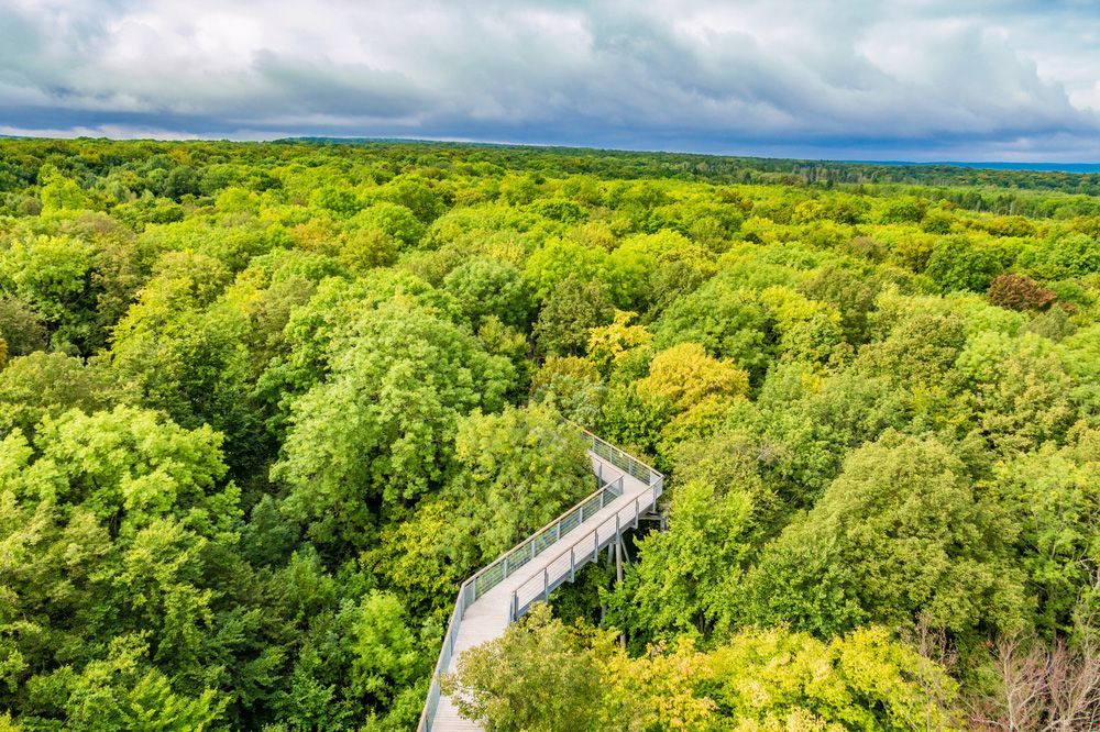 The Thuringian Forest – Germany’s Enchanted Woodland Realm