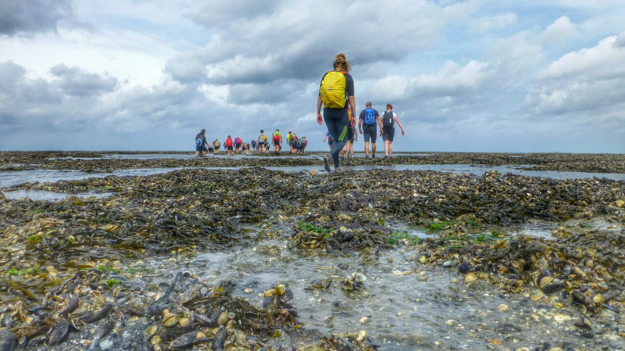 Wadden Sea Mudflat Hiking – Germany’s Tidal Walking Adventure