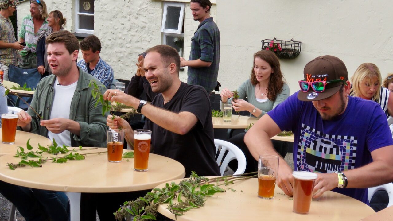 World Stinging Nettle Eating Championship – Chomping the Most Painful Greens in Dorset, England