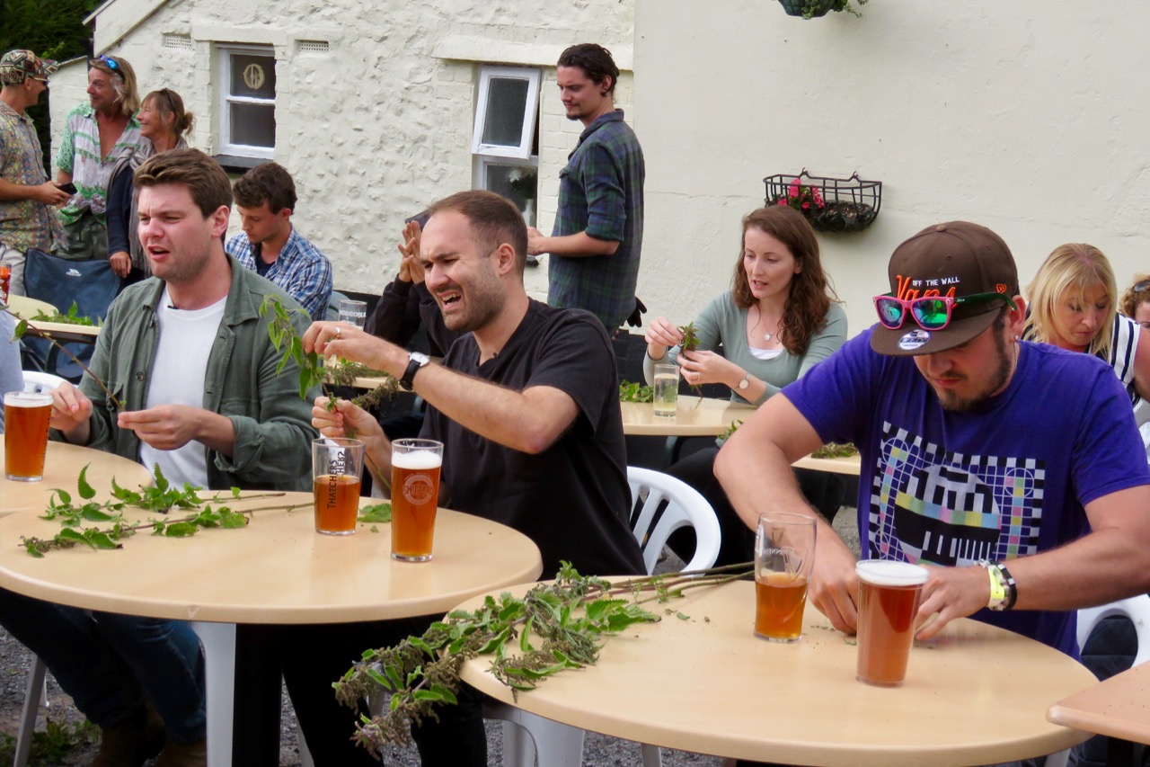 World Stinging Nettle Eating Championship Chomping the Most Painful Greens in Dorset, England