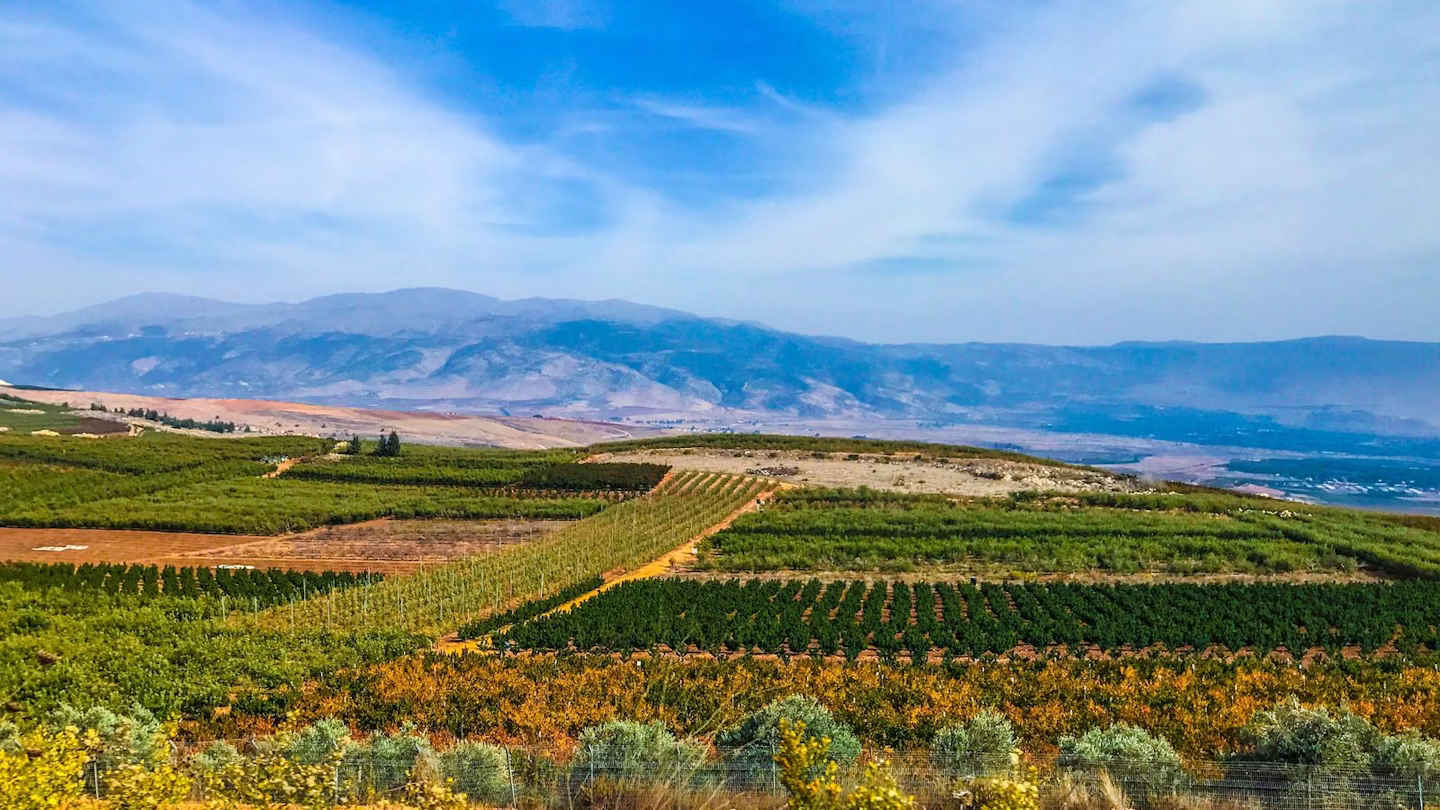 Bekaa Valley Vineyards – Lebanon’s Ancient Yet Thriving Wine Region