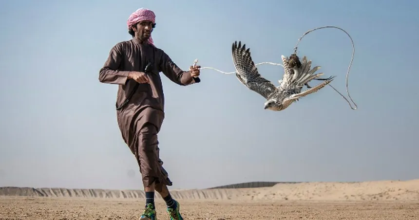 The Custom of Lebanese Falconry