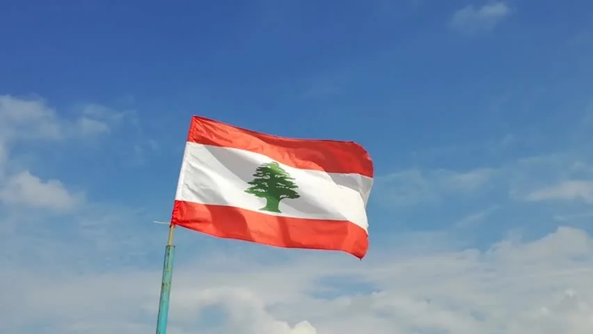 The Lebanese Cedar on the National Flag – A Living Symbol of Resilience