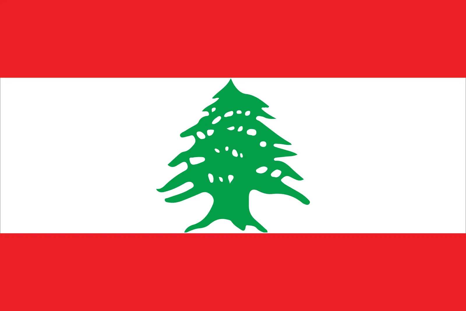 The Lebanese Flag's Iconic Cedar Tree – A Symbol Rooted in Ancient History